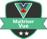 Formation Maîtriser Vue